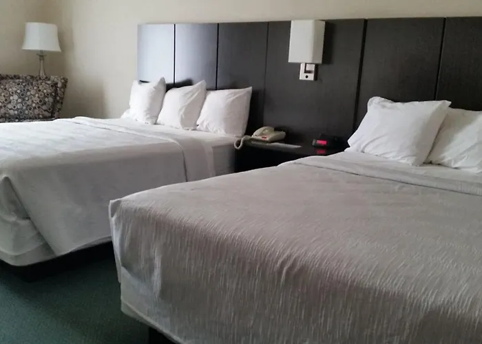 Gold Vault Inn